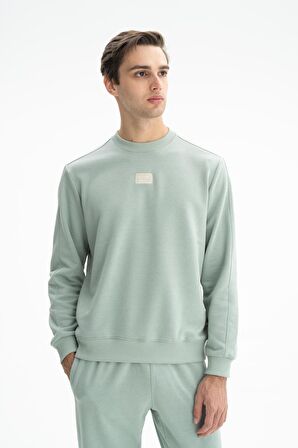 Arma Erkek Regular Fit Şardonsuz 3 İplik Bisiklet Yaka Sweatshirt 