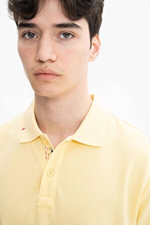Arma Erkek Regular Fit Polo Yaka Tişört 