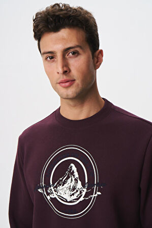 Arma Baskılı Yazılı Regular Fit Şardonlu Erkek Bisiklet Yaka Sweatshirt K28124602901 