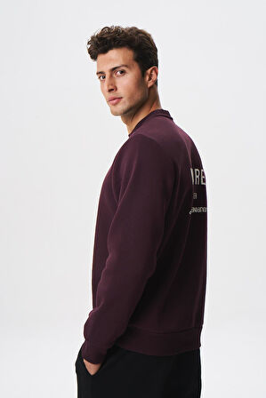 Arma Baskılı Yazılı Regular Fit Şardonlu Erkek Bisiklet Yaka Sweatshirt K28124602901 