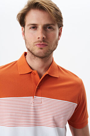 Arma Erkek Regular Fit Çok Renkli % 100 Pamuk Pike Polo Yaka Tişört Y29374355002 