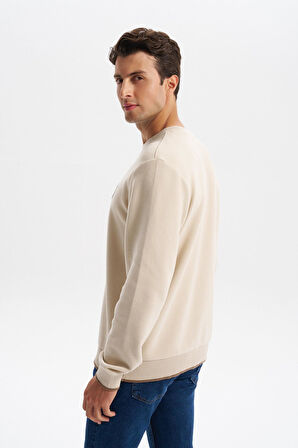 Arma Erkek Regular Fit Karbon Fırçalı Selanik Kumaş Bisiklet Yaka Süs Etiketli Sweatshirt Kazak K30124698802 