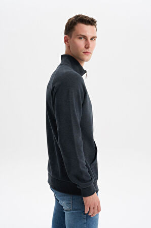 Arma Erkek Regular Fit Basic Reglan Kollu Selanik Sweatshirt – Karbon Fırçalı, Dik Yaka, Tam Fermuar, Cepli, Pamuk Polyester K30324698202 