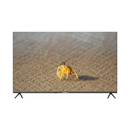 58HS24000 58" 147 Ekran Uydu Alıcılı Full HD Smart Android TV