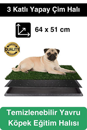 Özel Üretim 3 Katlı Evcil Hayvan Tuvalet Eğitim Halısı Yavru Köpek Yapay Çim Pet Park Temizlenebilir