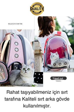 Premium Şeffaf Delikli Evcil Hayvan Kedi Köpek Taşıma Sırt Çantası Cepli Rahat Sağlam 42x33x22 cm