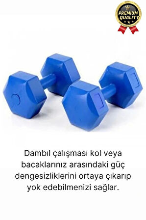 Premium Kalite Fitness Spor Egzersiz Vücut Kas Geliştirme Mavi 4 Kg Dambıl Ağırlık Seti - 2 Adet