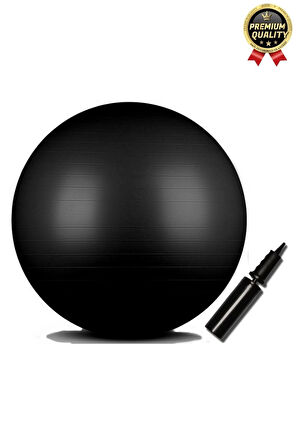 Premium Mini Gymball 20cm Jimnastik Denge Fitness Spor Şişirme Pompası Hediyeli Siyah Pilates Topu