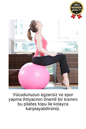 Premium Mini Gymball 20cm Jimnastik Denge Fitness Spor Şişirme Pompası Hediyeli Pembe Pilates Topu