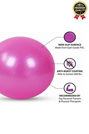 Premium Mini Gymball 20cm Jimnastik Denge Fitness Spor Şişirme Pompası Hediyeli Pembe Pilates Topu