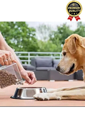 Premium Uzun Ömürlü Sağlam Kaymaz Kauçuk Taban Paslanmaz Çelik Metal Kedi Köpek Mama Su Kabı 34 cm