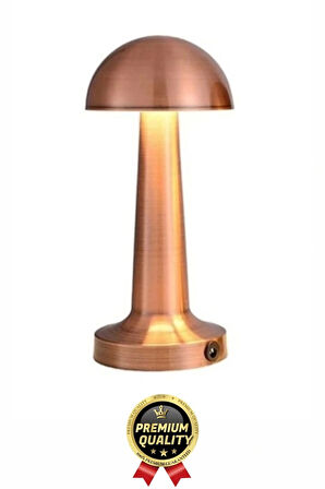 Özel Üretim Dokunmatik Şarjlı Dekoratif 3 Modlu 23 cm x 9 cm Modern Aç/Kapa Butonlu Led Masa Lambası