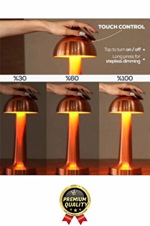 Özel Üretim Dokunmatik Şarjlı Dekoratif 3 Modlu 23 cm x 9 cm Modern Aç/Kapa Butonlu Led Masa Lambası