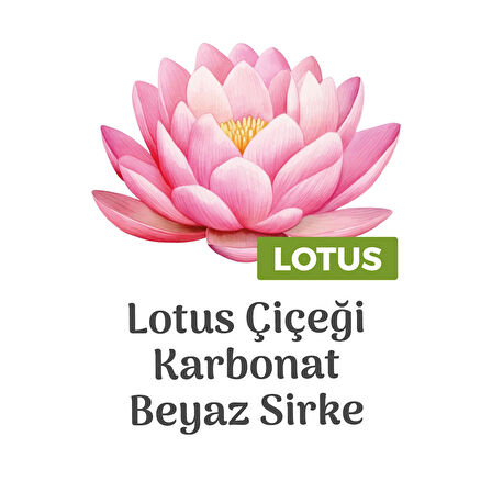 Easy Clean Lotus Çiçeği Yüzey Temizlik Havlusu 3x100 (300 Yaprak)