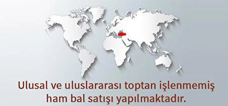 Petekli bal