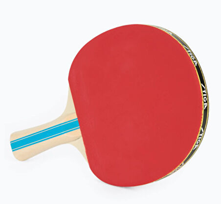 Stiga Bat Instınct Hobby Masa Tenis Raketi 1210-6318-01