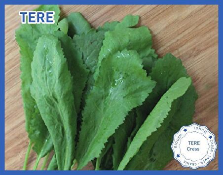 Biogen Tere Tohumu 25gr 1 Paket