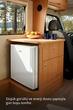 Kiwi KRF-2545 Mini Buzdolabı 45 Lt Kapasite & Enerji Tasarruflu