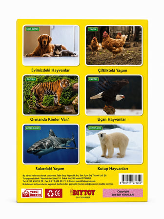 İlk 50 Hayvan Seti Flash Cards