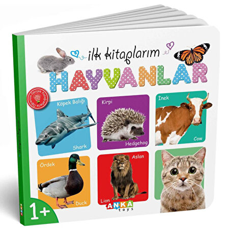 Diy-Toy İlk Kitaplarım Serisi Eğitici 6Lı Set