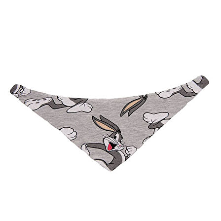 Lepus Fularlı Köpek Boyun Tasması No:2 Medium 