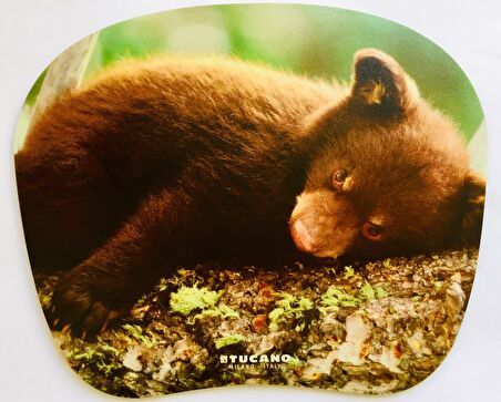 Tucano MPBOX-REF-35 Natura Serisi Mouse Pad - Yavru Ayı