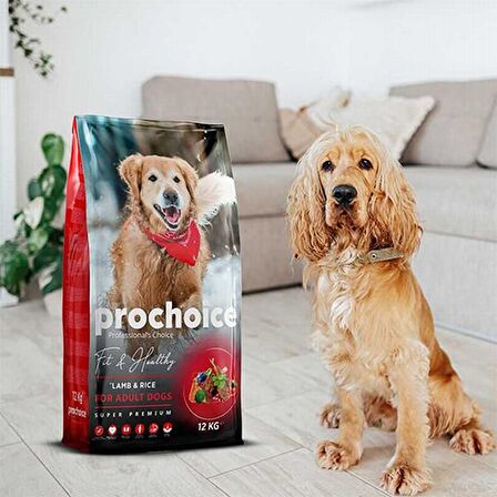 ProChoice Fit Healthy Kuzu Etli Yetişkin Köpek Maması 3 Kg