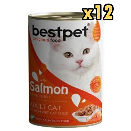 BestPet Somon Balikli Yetiskin Kedi Konservesi 400 Gr x 12 Adet