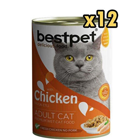 Bestpet Gravy Parça Tavuk Etli Kedi Konservesi 400 Gr x 12 Adet