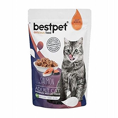 Bestpet Jelly Pouch Somonlu Kedi Maması 85 Gr