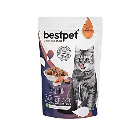 Bestpet Somonlu Jelly Yetişkin Kedi Konservesi 85 Gr (24 Adet)