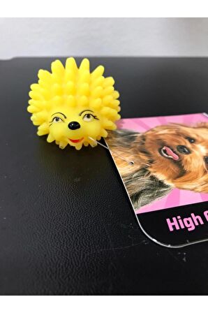 Köpekler Için Hedgehog 2 Oyuncak