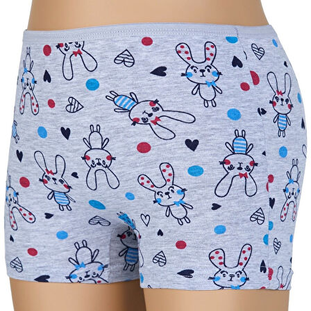 Dondeza 403 Desenli Baskılı Kız Çocuk Boxer