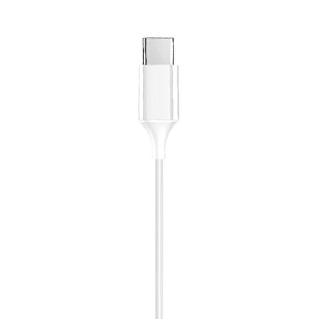LinkTech H341 Type-C Stereo Kulak İçi Kablolu Kulaklık