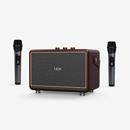 M407 Premium Çift Mikrofonlu 50W Retro Bluetooth Radyo Hoparlör