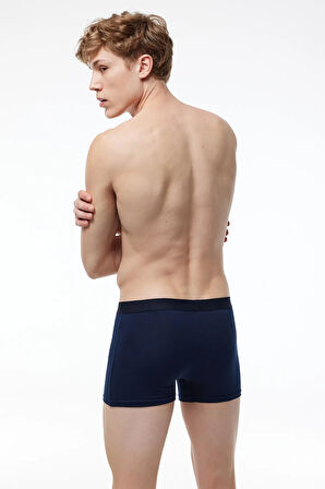 Erkek Gri 2 Li Pamuk Elastan Boxer 075