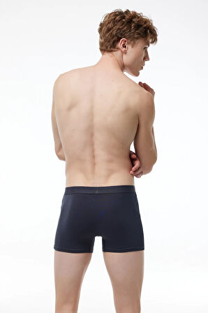 Erkek Gri 2 Li Pamuk Elastan Boxer 075