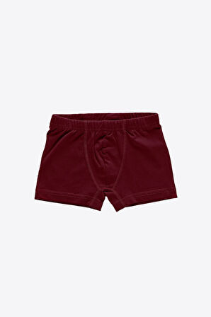 Erkek Çocuk Füme 3 Lü Paket Pamuk Elastan Boxer 209