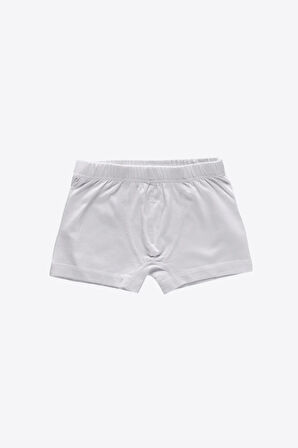 Erkek Çocuk Füme 3 Lü Paket Pamuk Elastan Boxer 209