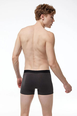 Erkek Füme Pamuk Elastan Boxer 075