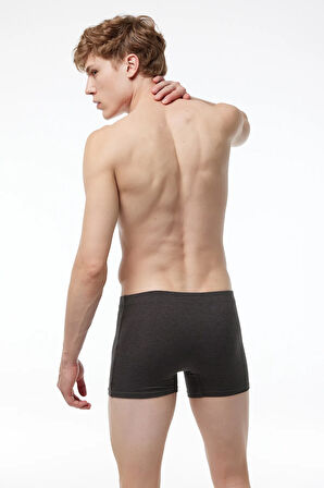 Erkek Desenli Pamuk Elastan Boxer 1M074