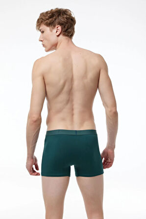 Erkek Füme Pamuk Elastan Boxer 075
