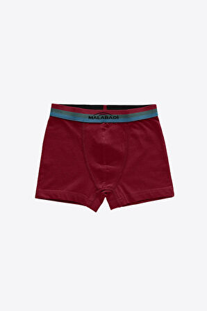 Erkek Çocuk Mavi 8 Li Paket Pamuk Elastan Boxer 208