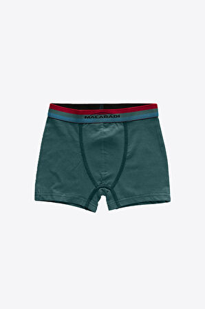 Erkek Çocuk Mavi 8 Li Paket Pamuk Elastan Boxer 208