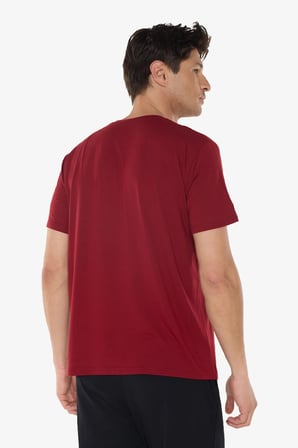 Erkek Bordo Bisiklet Yaka Micro Modal Extra Yumuşak Rahat Kalıp Tişört 930
