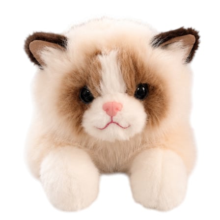 Kedi Peluş Oyuncak 50 cm Ekru 4581