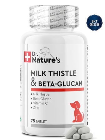 Köpek Karaciğer Destekleyici Tablet 75 Tablet – Milk Thistle (Deve Dikeni) ve Beta Glukan