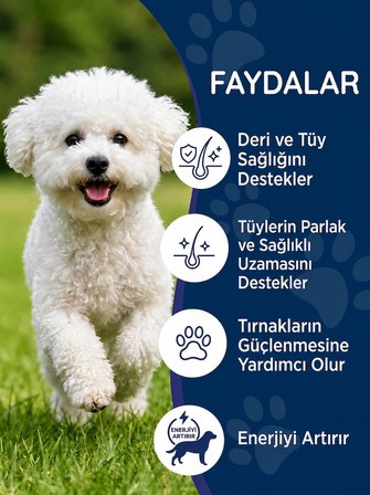Köpek Biotin Tablet 75 Tablet – Deri ve Tüy Sağlığı Destekleyici
