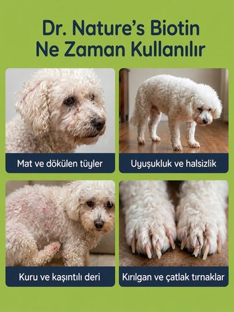 Köpek Biotin Tablet 75 Tablet – Deri ve Tüy Sağlığı Destekleyici