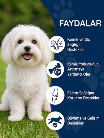 Köpek Kalsiyum Tablet 75 Tablet – Kemik ve Diş Gelişimi Destekleyici D3 & Magnezyum